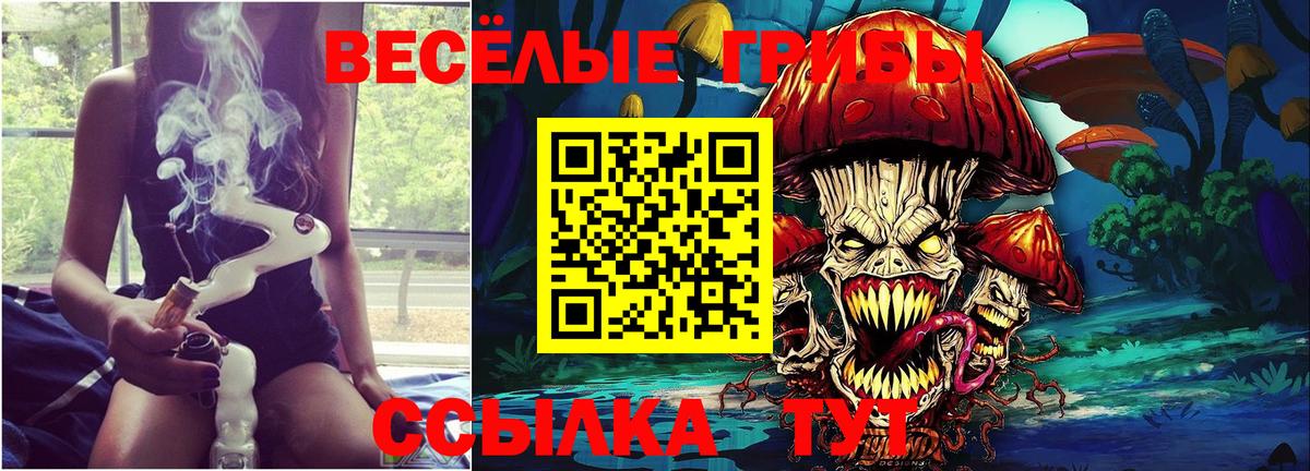 Псилоцибиновые грибы MAGIC MUSHROOMS Рязань